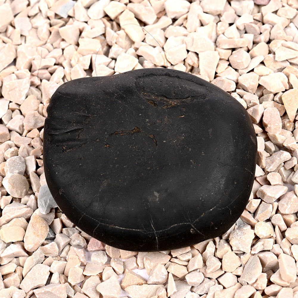 Laxmi Kalki Avatar Shaligram Shila