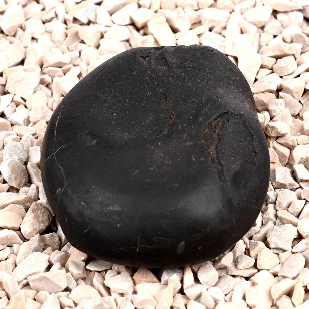 Laxmi Kalki Avatar Shaligram Shila