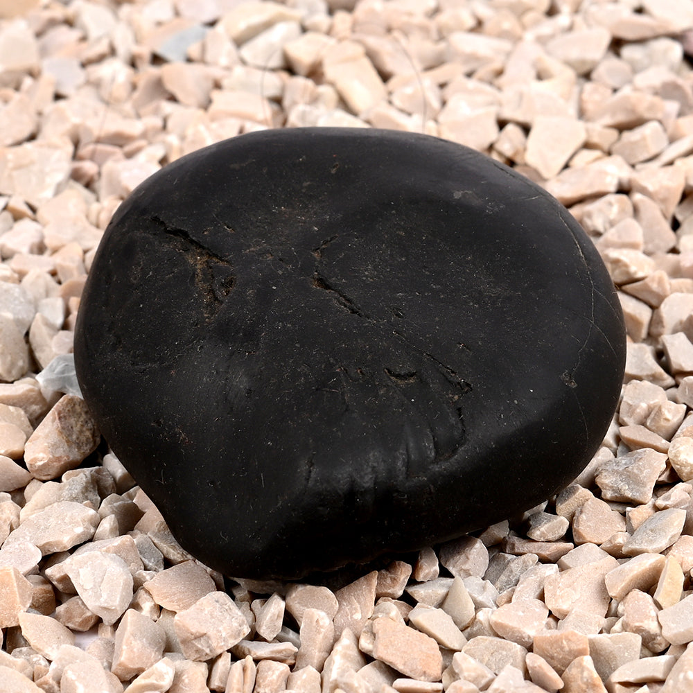 Laxmi Kalki Avatar Shaligram Shila