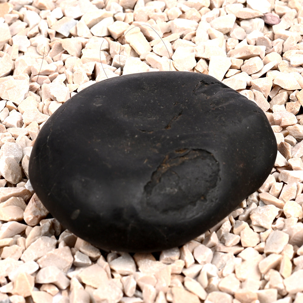 Laxmi Kalki Avatar Shaligram Shila