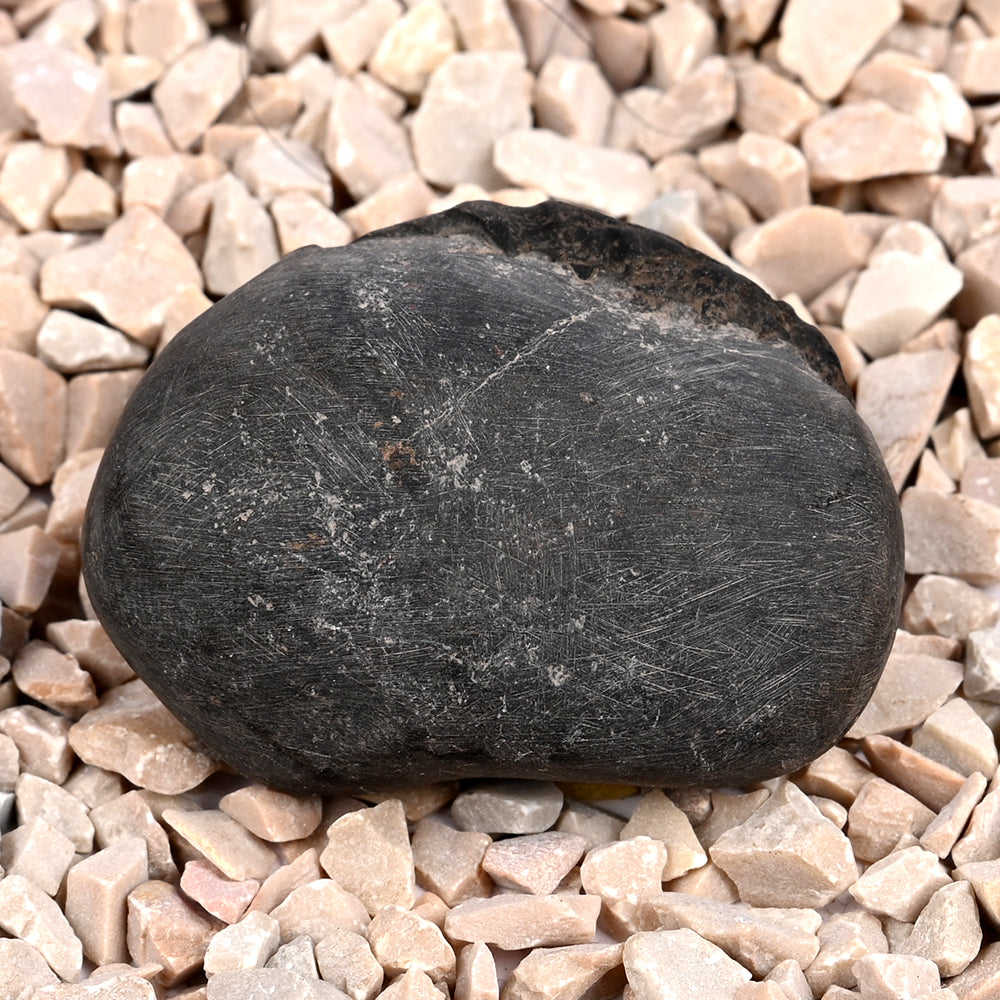 Bal Ganesha Shaligram Shila
