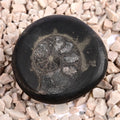 Swarna Crystal Maha Sudarshan Grah Mandal
Shaliaram Shila