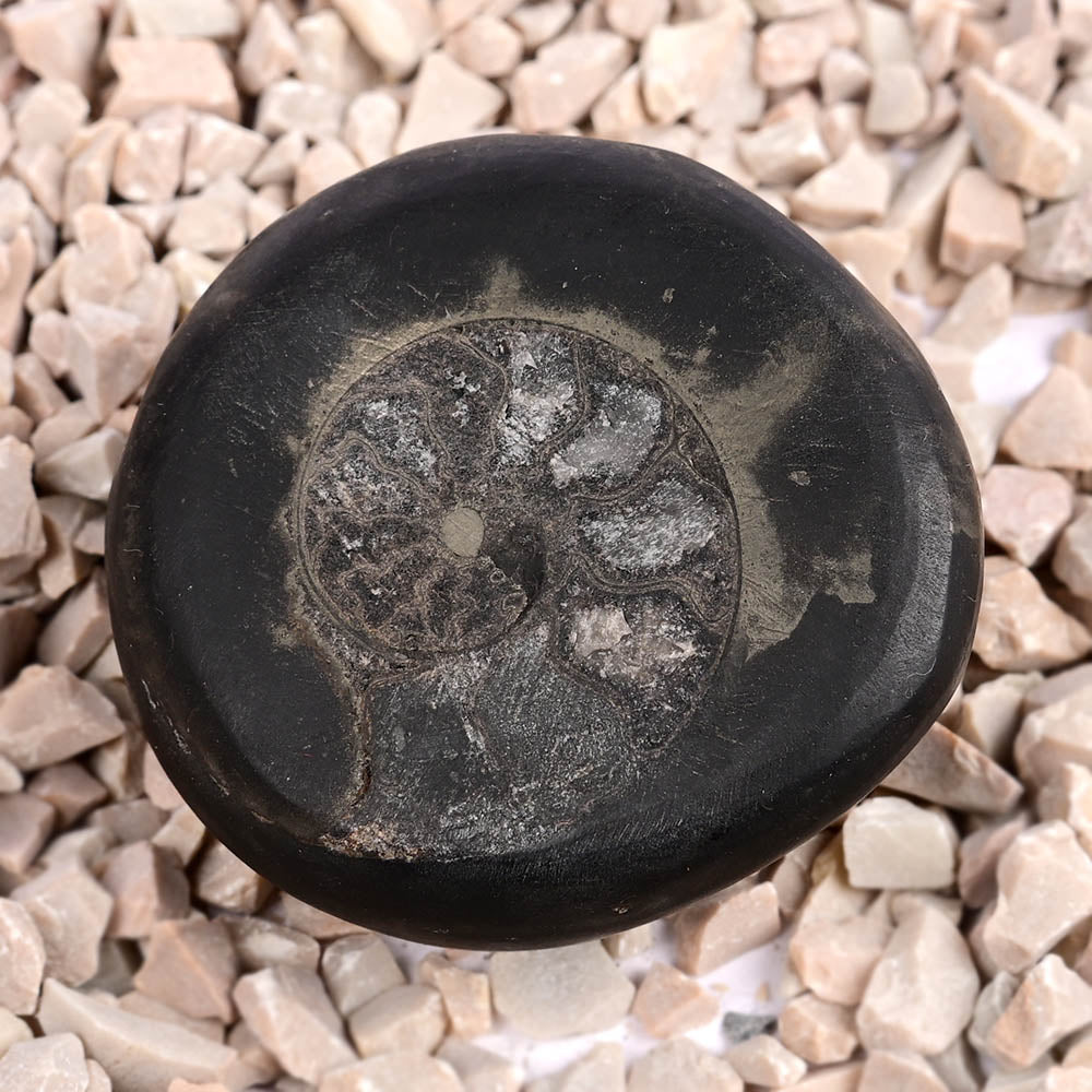 Swarna Crystal Maha Sudarshan Grah Mandal
Shaliaram Shila