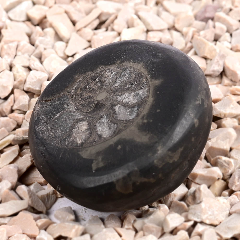 Swarna Crystal Maha Sudarshan Grah Mandal
Shaliaram Shila