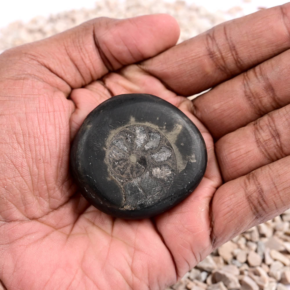 Swarna Crystal Maha Sudarshan Grah Mandal
Shaliaram Shila