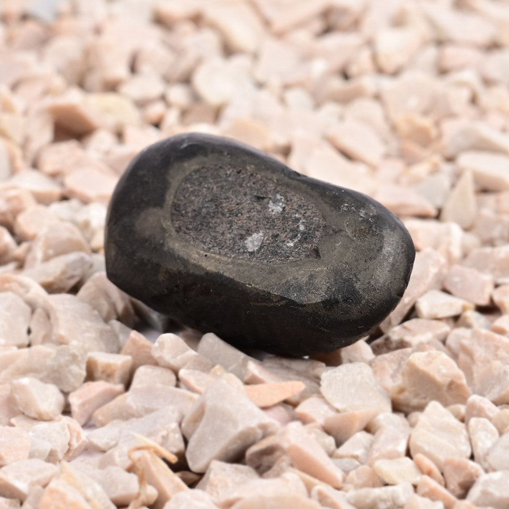 Swarna Laxmi Paduka Dhan Akarshan Shaligram Shila