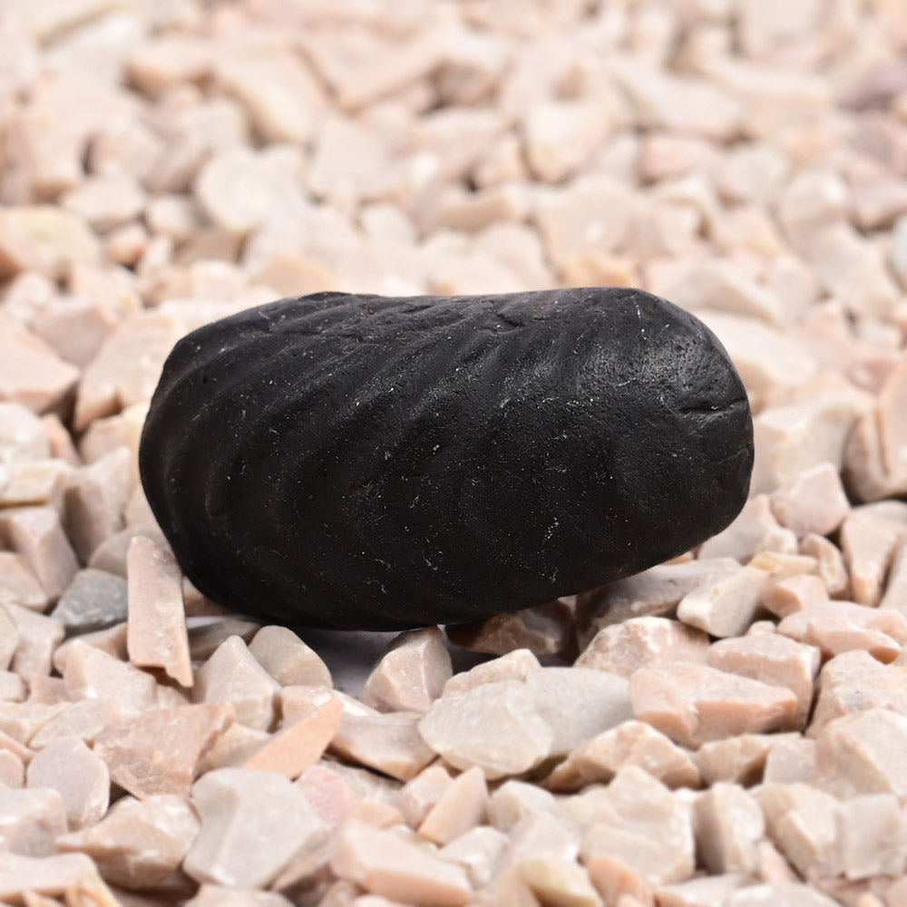 Swarna Laxmi Paduka Dhan Akarshan Shaligram Shila