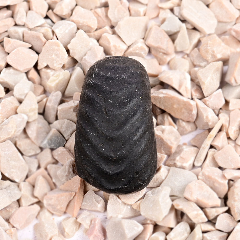 Swarna Laxmi Paduka Dhan Akarshan Shaligram Shila