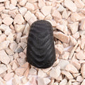 Swarna Laxmi Paduka Dhan Akarshan Shaligram Shila