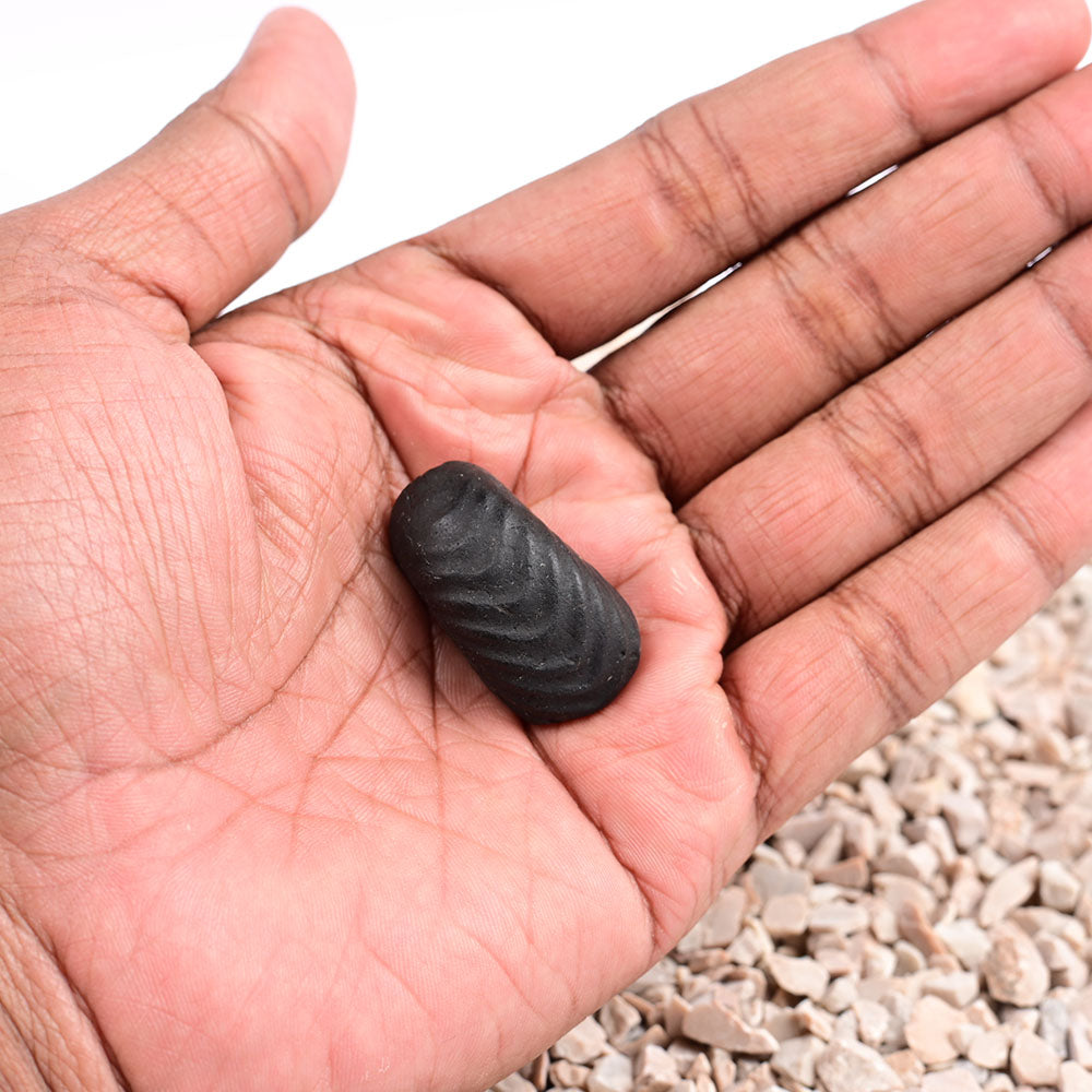 Swarna Laxmi Paduka Dhan Akarshan Shaligram Shila