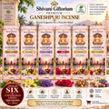 Premium Ganeshpuri Incense Sticks – 6 Fragrance Gift Set | Sandalwood, Champa, Lavender, Rose, Loban & 3-in-1 Harmony | Pack of 6 (600g)