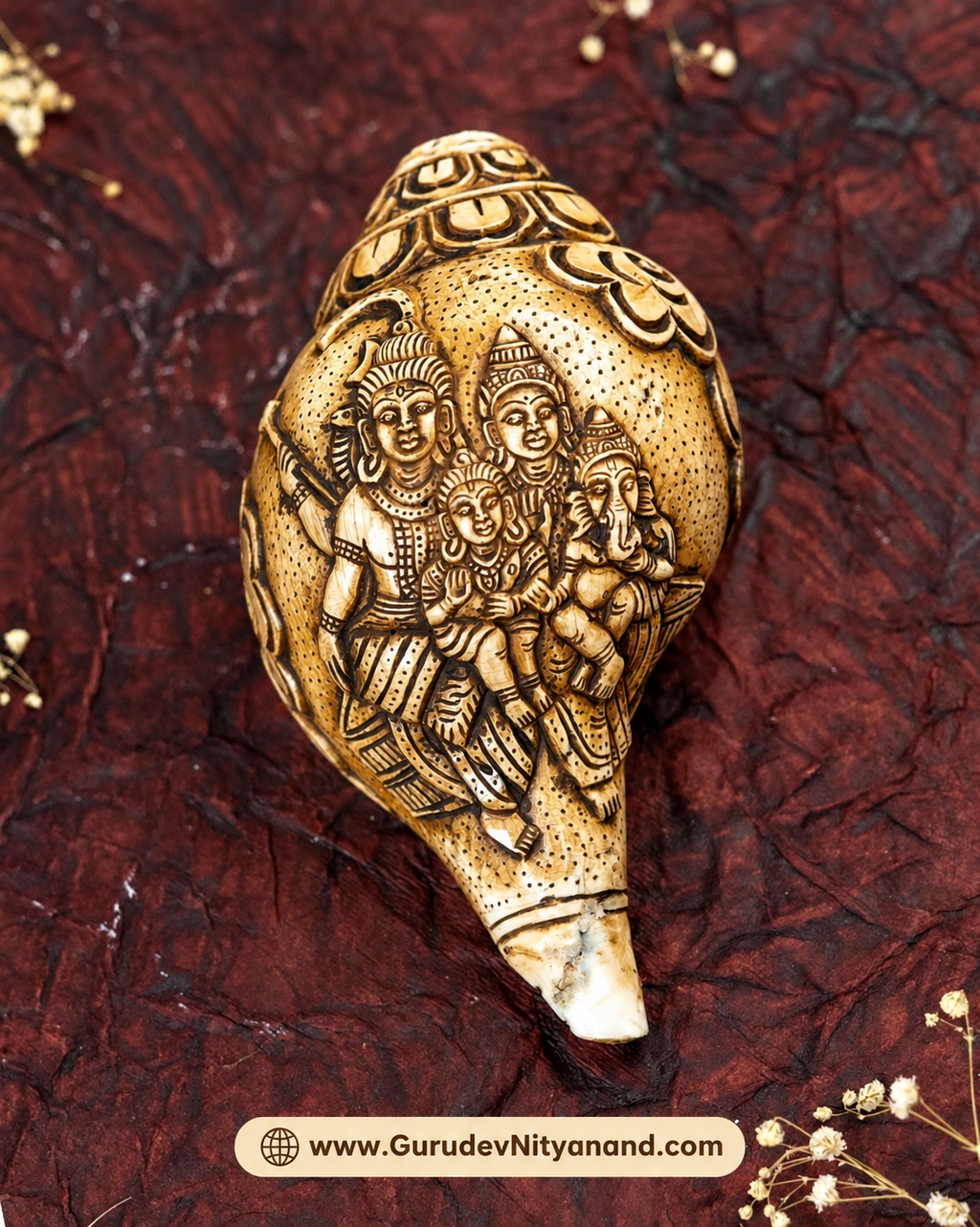 Shankar-Parvati Carved Shankh Divine Union from the Indian Ocean
