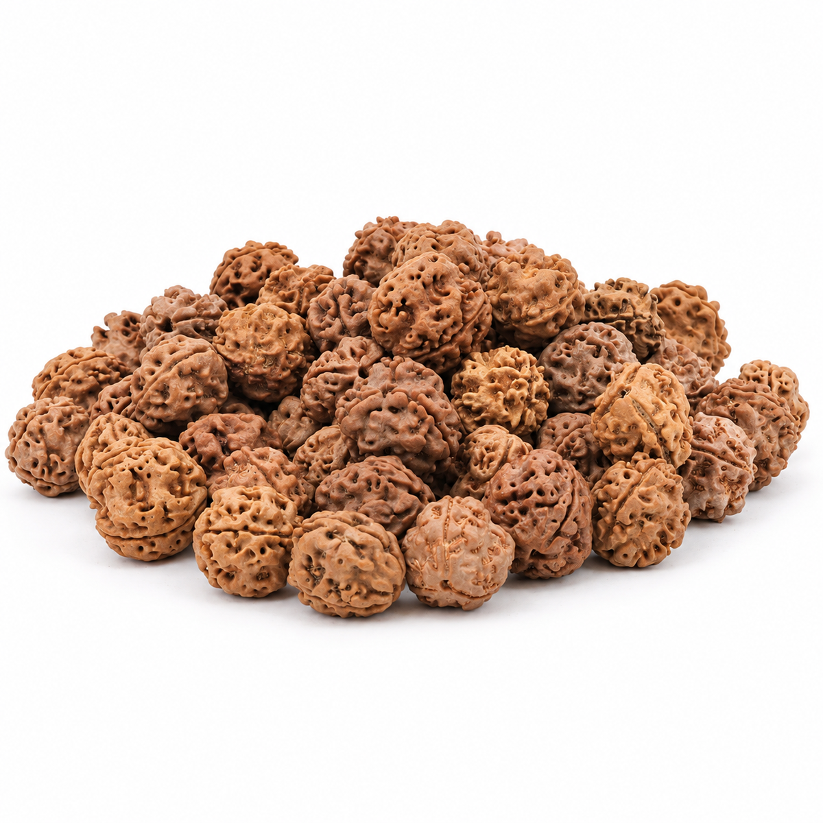 3 Mukhi Nepali Rudraksha