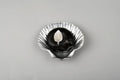 Laxmi Narayana Shaligram