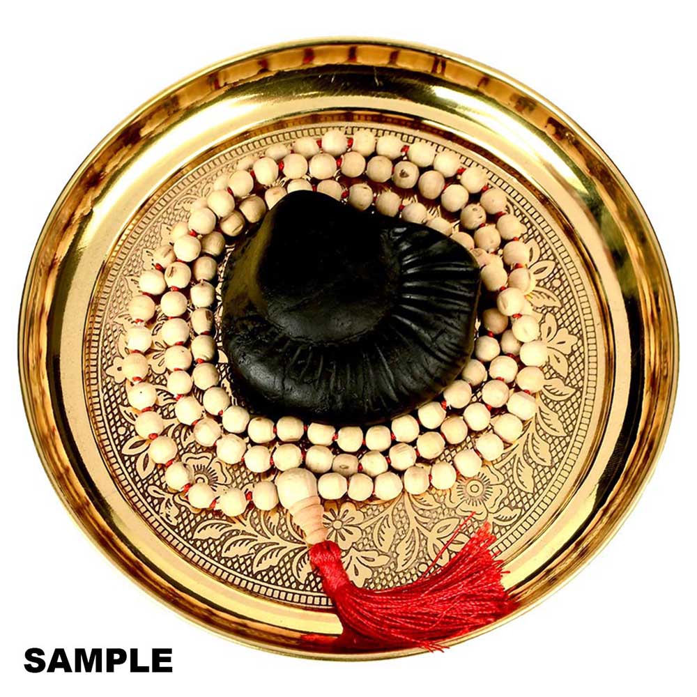 Shiva Parivar Shaligram Shila